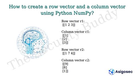 numpy row vector vs column vector